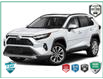 2025 Toyota RAV4 Limited (Stk: MFLQH025B) in Sault Ste. Marie - Image 1 of 11