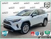 2025 Toyota RAV4 Limited (Stk: MFLQH025B) in Sault Ste. Marie - Image 1 of 25