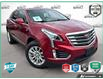 2019 Cadillac XT5 Luxury (Stk: AFLA0H2772) in Hamilton - Image 1 of 19