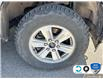2019 Ford F-150 XLT (Stk: 4F707XZ) in Oakville - Image 6 of 24
