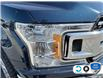 2019 Ford F-150 XLT (Stk: 4F707XZ) in Oakville - Image 8 of 24