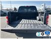 2019 Ford F-150 XLT (Stk: 4F707XZ) in Oakville - Image 11 of 24