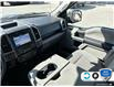 2019 Ford F-150 XLT (Stk: 4F707XZ) in Oakville - Image 20 of 24