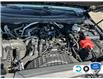 2021 Ford Ranger XLT (Stk: D4R034A) in Oakville - Image 10 of 25