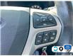 2021 Ford Ranger XLT (Stk: D4R034A) in Oakville - Image 16 of 25
