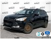 2014 Ford Escape SE (Stk: 5F008Z) in Oakville - Image 1 of 24