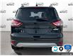 2014 Ford Escape SE (Stk: 5F008Z) in Oakville - Image 5 of 24
