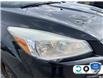 2014 Ford Escape SE (Stk: 5F008Z) in Oakville - Image 9 of 24