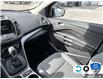 2014 Ford Escape SE (Stk: 5F008Z) in Oakville - Image 24 of 24