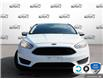 2016 Ford Focus SE (Stk: 408999Z) in St. Catharines - Image 2 of 24