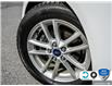 2016 Ford Focus SE (Stk: 408999Z) in St. Catharines - Image 6 of 24