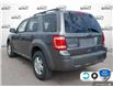 2010 Ford Escape XLT Automatic (Stk: C240141) in Hamilton - Image 4 of 23