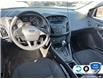 2016 Ford Focus SE (Stk: P7121XZ) in Oakville - Image 22 of 23