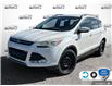 2015 Ford Escape SE (Stk: 4B223XZ) in Oakville - Image 1 of 22