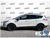 2015 Ford Escape SE (Stk: 4B223XZ) in Oakville - Image 3 of 22