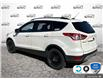2015 Ford Escape SE (Stk: 4B223XZ) in Oakville - Image 4 of 22