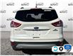 2015 Ford Escape SE (Stk: 4B223XZ) in Oakville - Image 5 of 22