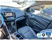 2015 Ford Escape SE (Stk: 4B223XZ) in Oakville - Image 22 of 22