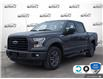 2017 Ford F-150 XLT (Stk: FG442BXZ) in Sault Ste. Marie - Image 1 of 24