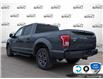 2017 Ford F-150 XLT (Stk: FG442BXZ) in Sault Ste. Marie - Image 4 of 24