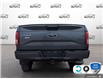 2017 Ford F-150 XLT (Stk: FG442BXZ) in Sault Ste. Marie - Image 5 of 24