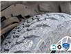 2017 Ford F-150 XLT (Stk: FG442BXZ) in Sault Ste. Marie - Image 7 of 24