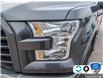 2017 Ford F-150 XLT (Stk: FG442BXZ) in Sault Ste. Marie - Image 8 of 24