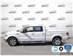 2010 Ford F-150  (Stk: A250356Z) in Hamilton - Image 3 of 22