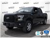 2015 Ford F-150 XLT (Stk: FH118AXZ) in Sault Ste. Marie - Image 1 of 24