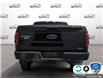 2015 Ford F-150 XLT (Stk: FH118AXZ) in Sault Ste. Marie - Image 5 of 24