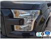 2015 Ford F-150 XLT (Stk: FH118AXZ) in Sault Ste. Marie - Image 8 of 24