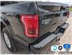 2015 Ford F-150 XLT (Stk: FH118AXZ) in Sault Ste. Marie - Image 10 of 24