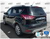 2016 Ford Escape Titanium (Stk: P7151XZ) in Oakville - Image 4 of 18