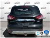 2016 Ford Escape Titanium (Stk: P7151XZ) in Oakville - Image 5 of 18