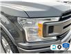 2018 Ford F-150 XLT (Stk: D5F141XZ) in Oakville - Image 8 of 22