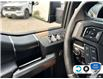 2018 Ford F-150 XLT (Stk: D5F141XZ) in Oakville - Image 16 of 22