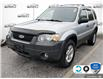 2006 Ford Escape XLT (Stk: 5S077XZ) in Oakville - Image 1 of 22
