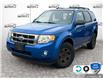 2011 Ford Escape XLT Automatic (Stk: D5B077XZ) in Oakville - Image 1 of 24