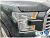 2015 Ford F-150 XLT (Stk: 5F001Z) in Oakville - Image 8 of 21