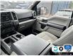 2015 Ford F-150 XLT (Stk: 5F001Z) in Oakville - Image 19 of 21