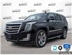 2017 Cadillac Escalade Luxury (Stk: FH182AXZ) in Sault Ste. Marie - Image 1 of 24