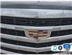 2017 Cadillac Escalade Luxury (Stk: FH182AXZ) in Sault Ste. Marie - Image 9 of 24