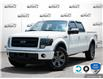 2013 Ford F-150 FX4 (Stk: 502467Z) in St. Catharines - Image 1 of 24
