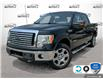 2012 Ford F-150 XLT (Stk: 5F072Z) in Oakville - Image 1 of 23