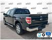 2012 Ford F-150 XLT (Stk: 5F072Z) in Oakville - Image 4 of 23