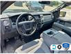 2012 Ford F-150 XLT (Stk: 5F072Z) in Oakville - Image 12 of 23