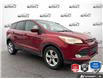2013 Ford Escape SE (Stk: 5B088Z) in Oakville - Image 1 of 23
