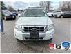 2008 Ford Escape Limited (Stk: P7329Z) in Oakville - Image 2 of 37