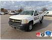 2013 Chevrolet Silverado 1500 WT (Stk: 5F242Z) in Oakville - Image 4 of 19
