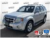 2009 Ford Escape Limited (Stk: P153234AZ) in Grimsby - Image 1 of 25